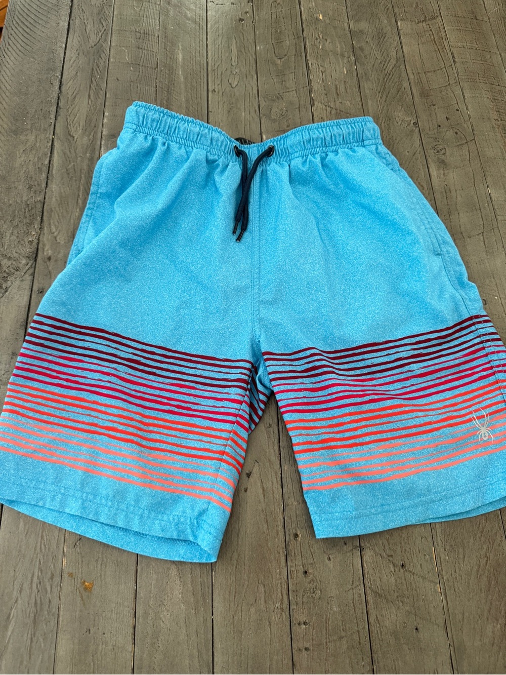 Spyder Boy’s Bright Blue Swim Board Shorts